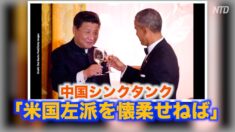 中国シンクタンク「我々は米国左派を懐柔しなければいけない」【英語ニュース】