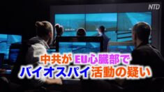 「中共がEUの心臓部でバイオスパイ活動の疑い」EUオブザーバー