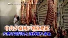 中共が豪州に報復措置 大麦の高関税と食肉輸入禁止