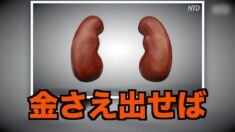 中共軍医が法輪功学習者からの臓器狩りを認める【禁聞】