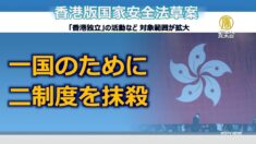 一国のために二制度を抹殺 全人代で国安法通過も首相の対米態度は温和