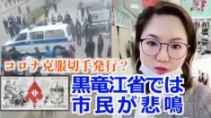 コロナ克服切手発行？黒竜江省では市民が悲鳴