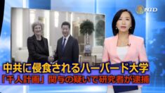 中共に侵食されるハーバード大学「千人計画」関与の疑いで研究者が逮捕【疫病と中共】