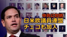 日米欧議員連盟にチェコも加入 中共の脅威に対抗