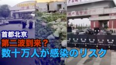第二波到来？北京で感染が急速に拡大 数十万人が感染のリスク【禁聞】