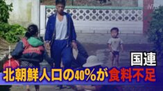 国連 北朝鮮人口の40％が食料不足