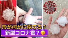 北京・天津・河北省で奇怪な形の雹が！形が中共ウイルスにそっくり
