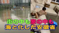 スポンジ都市が海洋都市に 安徽省合肥市で都市が次々と冠水
