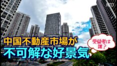 中国不動産市場が不可解な好景気　専門家「政府・銀行・開発業者が三大受益者」【禁聞】