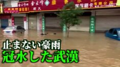 止まない豪雨 長江中下流域に大規模な洪水の恐れ【禁聞】
