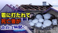 ハルビンで雹に打たれて死亡者が 政府は無関心 庶民は落胆