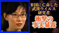 米国亡命の武漢ウイルス研究者 フォックスニュースで証言