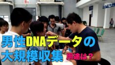 豪州シンクタンク「中共が男性DNAデータの大規模収集」強制臓器摘出と関連か