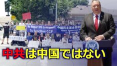 ポンペオ長官「中共は中国ではない」民主活動家らが支持集会