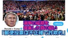 「郵便投票は不正確で詐欺的」トランプ大統領が延期を提案した真の狙い
