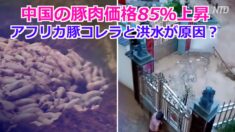 中国の豚肉価格85％上昇 庶民は「買えない」「長い間食べていない」