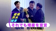 疫病に洪水に蝗害…それでも「100万トンの増産」を宣言する中共政府【禁聞】