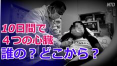 10日間で４つの心臓 中国のオンデマンド臓器移植【禁聞】