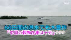 60日間の洪水でも大豊作？「中国の穀物在庫は十分」