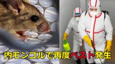 内モンゴルで再度ペスト発生 年末までレベル3の警報発動