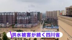 洪水被害が続く中国 四川や山東で甚大な被害【禁聞】