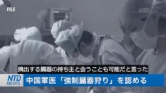 中国軍医 強制臓器狩りを認める【チャイナ・イン・フォーカス】