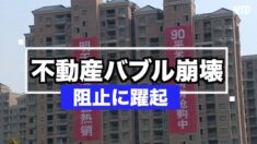 不動産バブル崩壊の阻止に躍起になる中共「刀を向けられるのは民間金融機関」【禁聞】