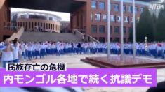 モンゴル語抹殺の危機 内モンゴル各地で続く抗議デモ