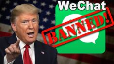 WeChatの禁止も検討 トランプ大統領のゴールは？【チャイナ・アンセンサード】