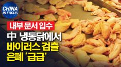 [내부 문서 입수] 中 냉동닭 바이러스 검출 은폐 사실 드러나