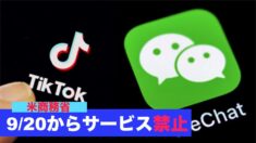 20日からTikTokとWeChatのサービス禁止＝米商務省