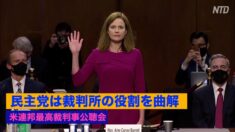 専門家「民主党は裁判所の役割を曲解」米連邦最高裁判事公聴会