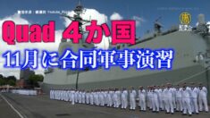 QUAD4か国が合同軍事演習 豪州は13年ぶりに「マラバール演習」参加