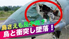 「鳥さえも反中共？」中共戦闘機が鳥と衝突し墜落