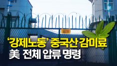 美, ‘강제노동’ 중국산 감미료 “안 받는다”