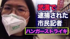 武漢で逮捕された市民ジャーナリスト ハンガーストライキで抗議