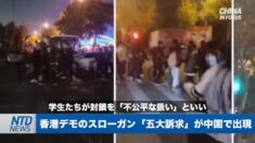 香港デモのスローガン「五大訴求」が中国に出現