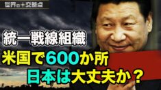 中共は 600以上の統一戦線組織を米国に配置　　　　　【世界の十字路】