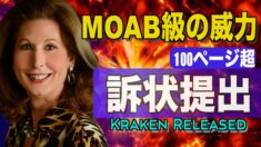 MOAB級の威力！パウエル弁護士がジョージア州で100ページ超の訴状提出