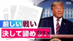 「法廷での訴訟は厳しい戦い」専門家が予測する米大統領選の今後の状況