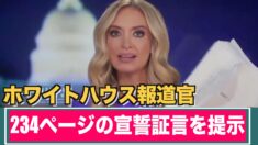 ホワイトハウスがミシガン州の不正選挙に対し234ページの宣誓証言を提示　