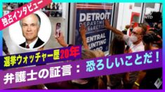 選挙ウォッチャー歴20年の弁護士「恐ろしい！こんなことは初めてみた」（吹き替え版）