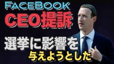 米メディア「選挙に影響を与えようとしたFBのCEOがペンシルベニア州で提訴」