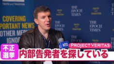 （字幕版）プロジェクト・ベリタス代表「不正選挙の内部告発者を探している」