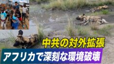 中共の対外拡張 アフリカで深刻な環境汚染