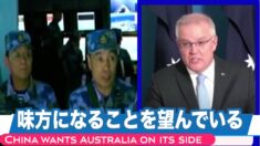 専門家「中共は豪州に味方になることを望んでいる」【チャイナ・イン・フォーカス】china in focus