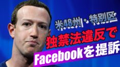 米48州・特別区がFacebookを独禁法違反で提訴