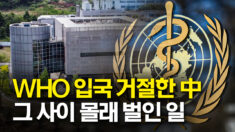 세계보건기구 조사단 입국 거절했던 중국이 몰래 벌인 일