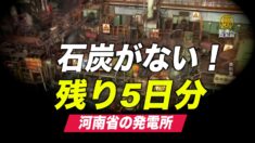 中国石炭価格が高騰 河南省の発電所は石炭の在庫残り５日分【中国一分間】