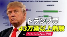 調査団体「ペンシルベニア州で43万票以上のトランプ票が削除された」